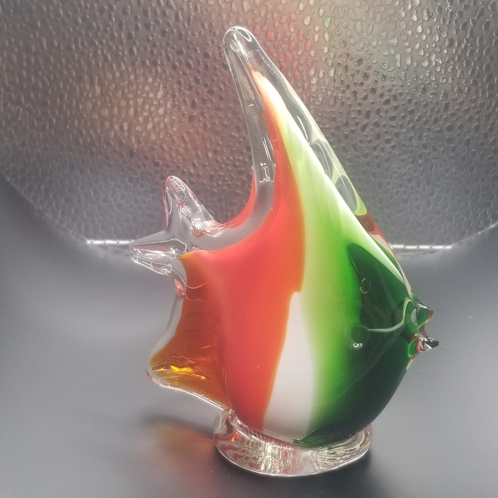 Glass fish - Picture 7 of 16